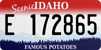 ID license plate E172865