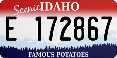 ID license plate E172867