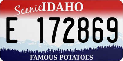 ID license plate E172869