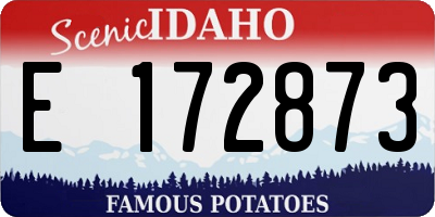 ID license plate E172873