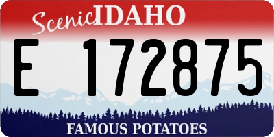 ID license plate E172875