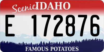 ID license plate E172876