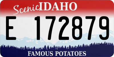 ID license plate E172879