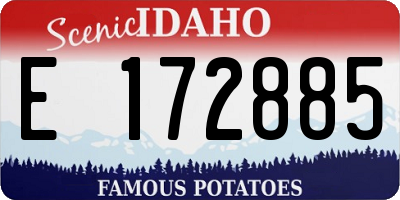 ID license plate E172885