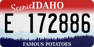ID license plate E172886