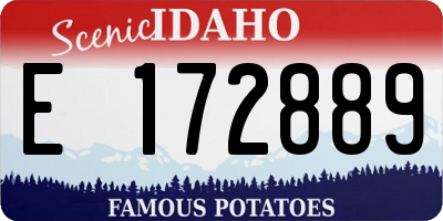 ID license plate E172889