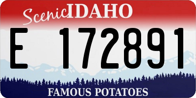 ID license plate E172891