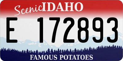 ID license plate E172893