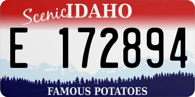 ID license plate E172894