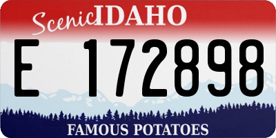 ID license plate E172898