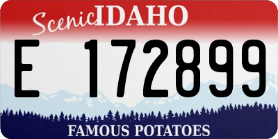 ID license plate E172899