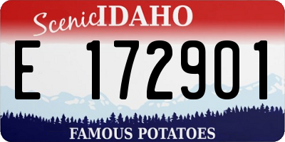 ID license plate E172901