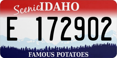 ID license plate E172902