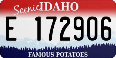 ID license plate E172906