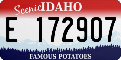 ID license plate E172907
