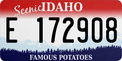 ID license plate E172908