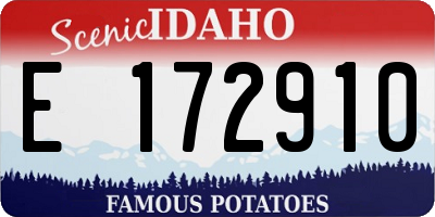 ID license plate E172910