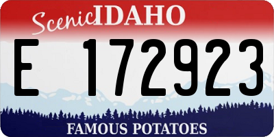 ID license plate E172923