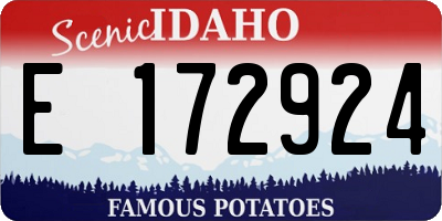 ID license plate E172924