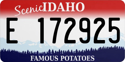 ID license plate E172925
