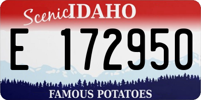 ID license plate E172950