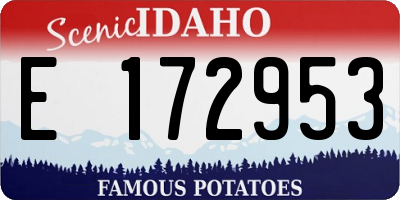 ID license plate E172953