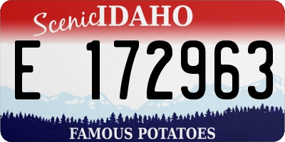 ID license plate E172963