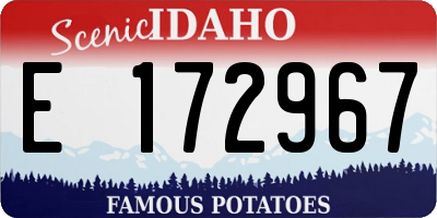 ID license plate E172967