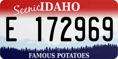 ID license plate E172969