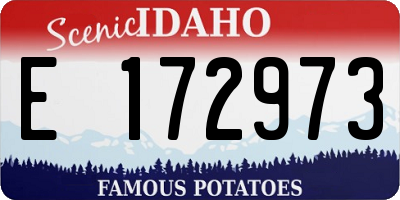 ID license plate E172973