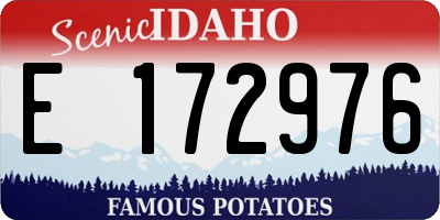 ID license plate E172976