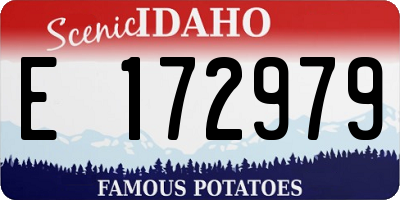 ID license plate E172979