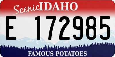 ID license plate E172985