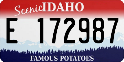 ID license plate E172987