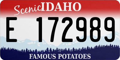 ID license plate E172989