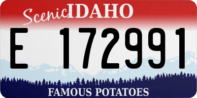 ID license plate E172991