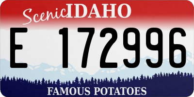 ID license plate E172996
