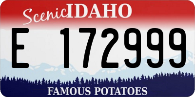 ID license plate E172999