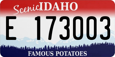 ID license plate E173003