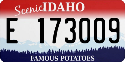 ID license plate E173009