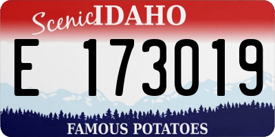ID license plate E173019