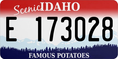 ID license plate E173028