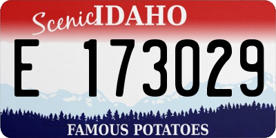 ID license plate E173029