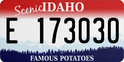 ID license plate E173030