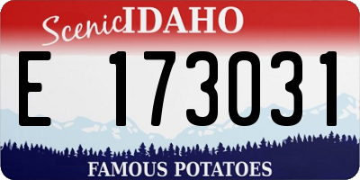 ID license plate E173031