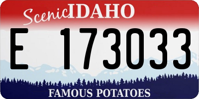 ID license plate E173033