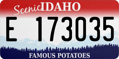 ID license plate E173035