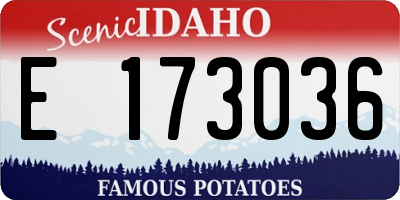 ID license plate E173036