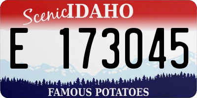 ID license plate E173045