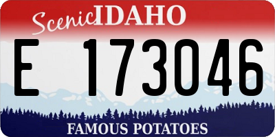 ID license plate E173046